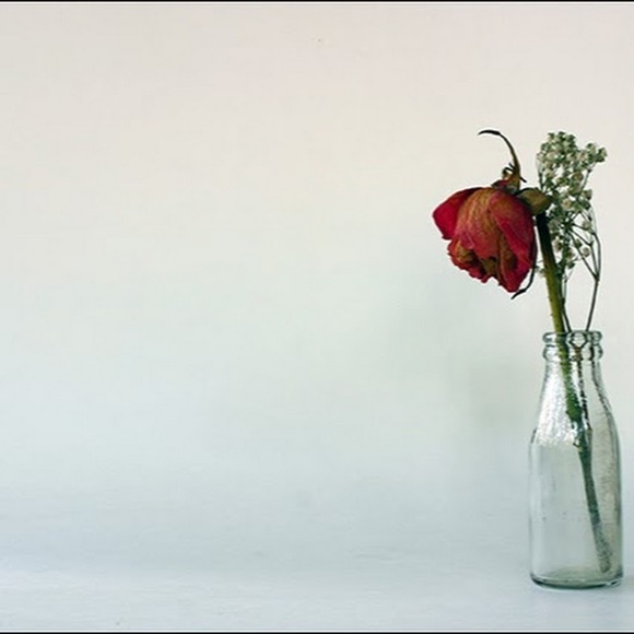 Meet your Posher, Farida - Picture 1 of 1